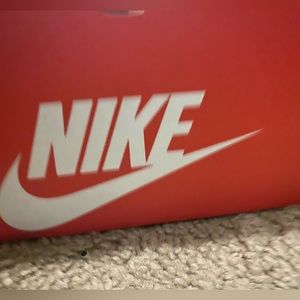 Nike Dunks low pandas